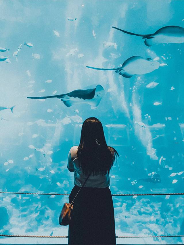 COEX Mall's Aquarium